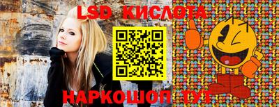 кокс Кингисепп