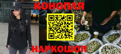 кокс Кингисепп