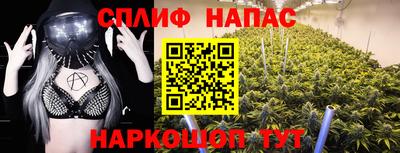 кокс Кингисепп
