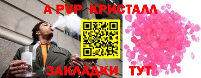 кокс Кингисепп