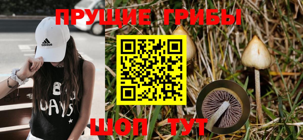 Галлюциногенные грибы Cubensis  Вход с VPN  Псилоцибиновые грибы GOLDEN TEACHER  цены наркотик  Комсомольск-на-Амуре 